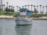 Dana Point Whale Watching

