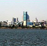 Newport Beach Whale Watching