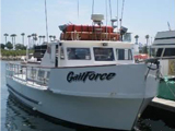 Whale Watching in Orange County