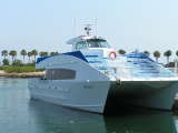 Newport Beach Whale Watching Tours